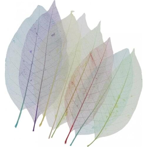8 Multi-colored, Real, Dried Skeleton Leaves for Making Photo Album Jewelry