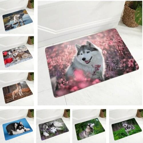 Funny Siberian Husky Dog Flannel Carpet Floor Mat for Hallway Bedroom 40x60cm Rug Door Mat Non-Slip Decor Pet Dog Animal Doormat