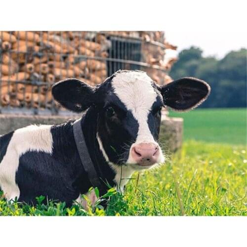 Full Square/Round Diamond Painting New Arrival Farm Milk Cow Handmade Gift Diamond Embroidery Animal Home Decor