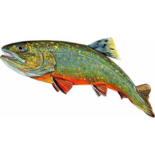 Brook Trout Fish Car Sticker Waterproof Sunscreen Decal Laptop Truck Suitcase Motorcycle Auto Accessories PVC,13cm*6cm