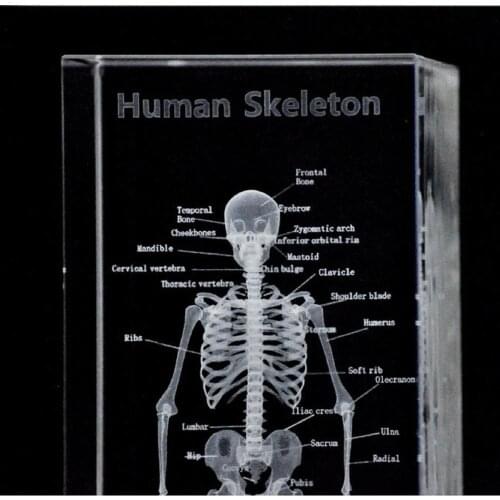 Artificial k9 Crystal Skull Skeleton Clear Rock Quartz Gemstone Carving Human Skull Sculpture Rocks Minerals Healing Gem Teachi