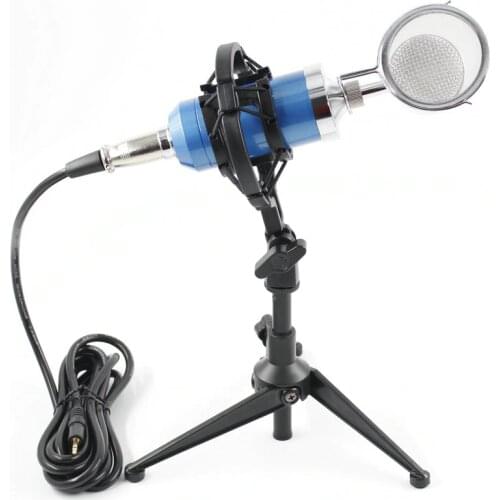 BM8000 Professional Condenser Sound Recording Microphone with Desktop Stand For Radio Braodcasting Microphone