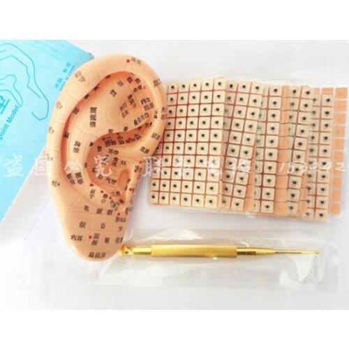 Ear press seed Auricular Vaccaria seed with ear probe ear model acupuncture needle ear bead slimming body free shipping