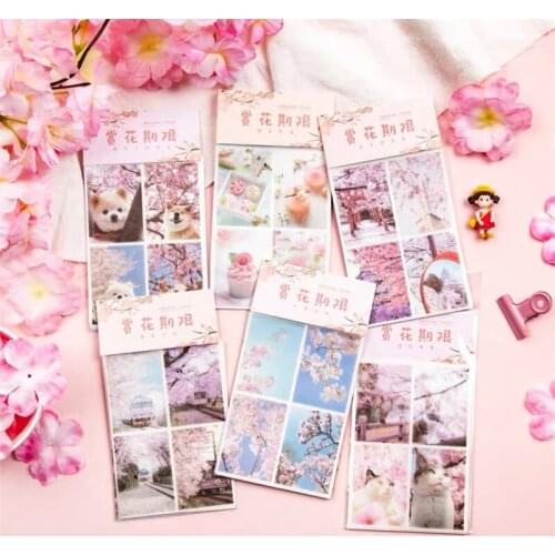 2020 Sakura Hand Drawing Creative Junk Journal PET Flowers Flake Sticker DIY Craft Photo Albums Card Making Label Sticker