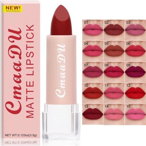 Matte Velvet Lipstick Lip Glaze Waterproof Lasting Not EasyTo Fade Lip Gloss Lipstick Makeup Cosmetic TSLM1