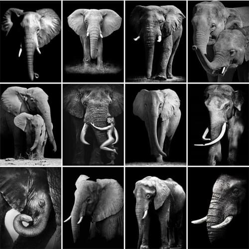 Evershine Diamond Embroidery Black White Animal 5D DIY Diamond Painting Elephant Full Square Round Rhinestone Picture Home Decor