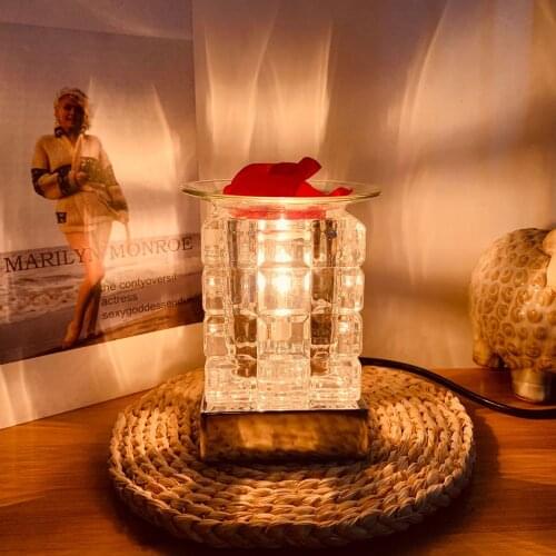 LCEMDGS Burner Lamps