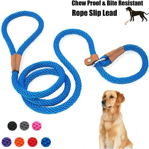 Non-Slip Chain Dog Leash Dog Collar Pet Walking Leads Dog Mountain Climbing Rope puppy pet Traction For small Medium Large Dogs