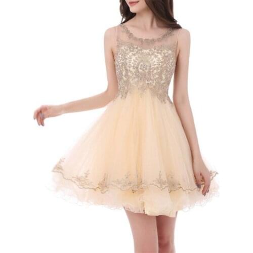 2020 new luckgirls Embroidery print small round neckknee-length champagne beauty Party Homecoming Dresses