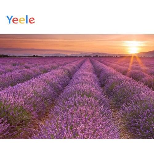 Yeele Sunset Clouds Lavender Romantic Wedding Party Photography Backgrounds Customized Photographic Backdrops for Photo Studio