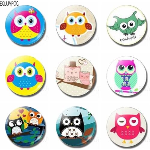 1pcs 30 MM Cute Cartoon Owl Fridge Magnets for Kids Bird Glass Refrigerator Magnetic Message Sticker Animals Home Decoration