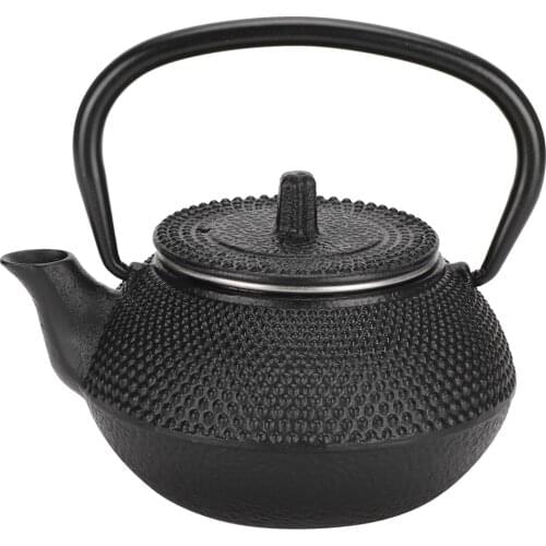 TOPINCN Cast Iron Teapots China