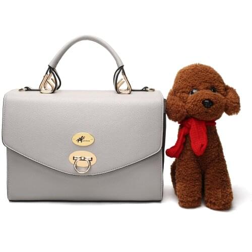 2021 New Pet Bag Cat Bag Dog Bag Pet Outgoing Portable Bag Teddy Bag Vatilated Bite Resistant Pet Supplies