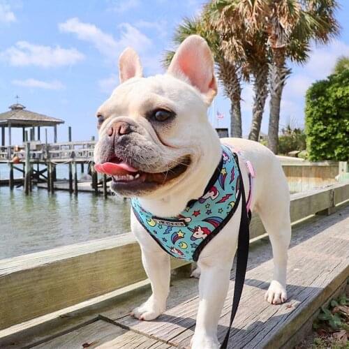 Dog Accessories for Yorkies Pet Dog Collar Unicorn Print Harness for Small Medium Dogs Leash for French Bulldog Chihuahua S-XL