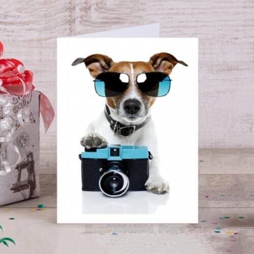Jack Russell Terrier Camera Diamond mosaic 5D DIY Diamond Painting cross stitch square round diamond embroidery beadwork FF734