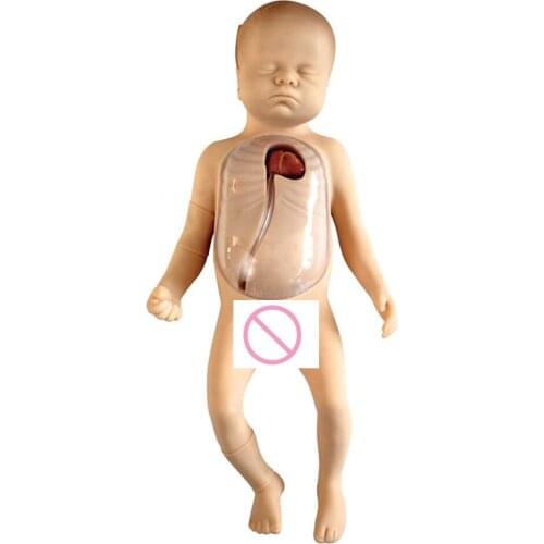Neonatal PICC model Peripheral and Central Vein Intubation Model,Baby Nursing Manikin
