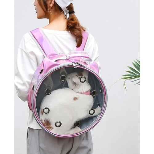 Girl Fashion Folding Pet Carrying Bag, Breathable Zipper Multifunctional Backpack, Pet Transparent Cat Bag, Backpack