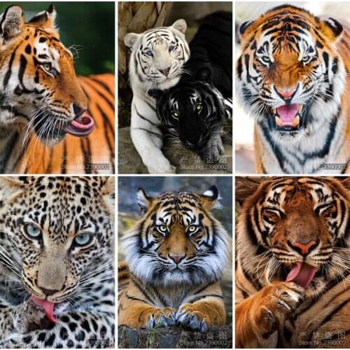 5D DIY Diamond Painting Animal &Strawberrie Embroidery Diamond Painting Cross Stitch Rhinestone Mosaic Painting Tiger