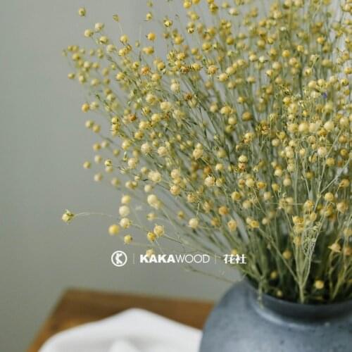 Natural Dried Flowers Dried Fruit Dried Plant Bouquet with Fruit Soft Home Ornamental Flower Photographic Prop Small Star Fruit