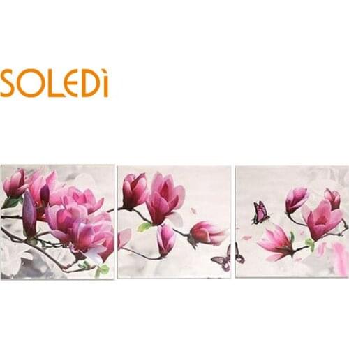 SOLEDI Painting Flowers By Numbers