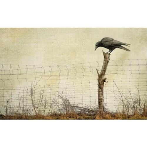 Style Raven a fence background style 4 Sizes Home Decor Canvas Poster Print