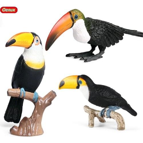 Oenux Original Bird Animal Model Forest Toucan Family Action Figures Figurine PVC High Quality Miniature Decoration Cute Kid Toy