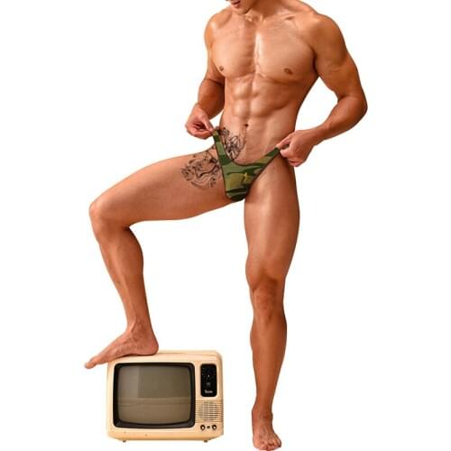 ADANNU Brand Sexy Men Underwear Men Briefs Gay Jockstraps Cotton Soft Mesh Male Underpants Cueca Tanga Bikini Low Waist Pants