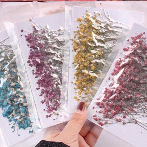 50pcs/bag Gypsophila dried flower pressed flower embossed natural dried flower Epoxy dried flower phone case material