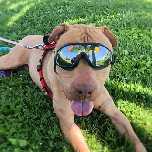 Waterproof Dog Goggles Sunglasses Anti-UV Protection Eyes Sun Glasses Pet Supply Dog Accessories