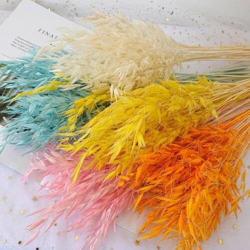 10pcs Wheat Flower Bouquet Real Dried Natural Plant Oats Dry Flower Home Room Table Decor Wedding Party Pampas Grass Decoration