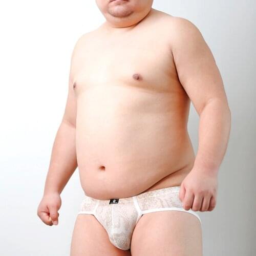 New Arrival Bear Claw Paw Python Pattern Underwear Plus Size Mens Sexy Briefs Gay Proud Shorts Designed For Gay Bear M L XL XXL