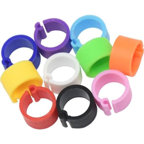 Inner Diameter 8 mm Bird Pigeon Foot Ring Ten Colors Without Text Light weight Freedom Of Action Poultry Ring Bird Carry 1000Pcs