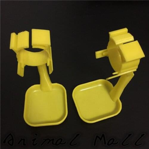 Talk-Satisfied Products For Cats