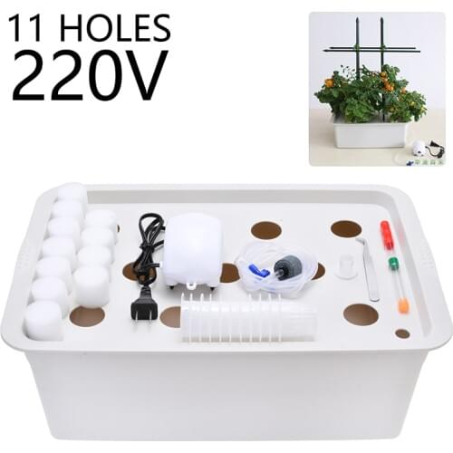 1pc Hydroponics Box 11 Holes Plant Site Hydroponic System Seeding Cabinet Box Grow Nursery Pots For Garden Supplies