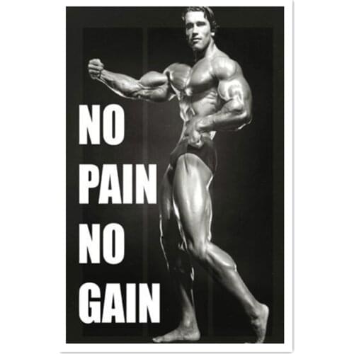 Arnold Schwarzenegger Posters and Prints Hot Motivational Gym Workout Quote No Pain No Gym Art Pictures Canvas Painting