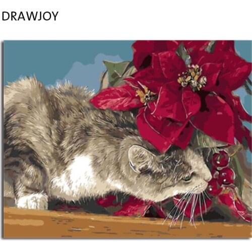 DRAWJOY Framed Picture Painting & Calligraphy Of Loely Animals Cat DIY Painting By Numbers Coloring By Numbers On Canvas