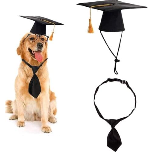 Pet Graduation Hat Necktie Set Party Costume Outfits For Pet Theme Party Graduation Party