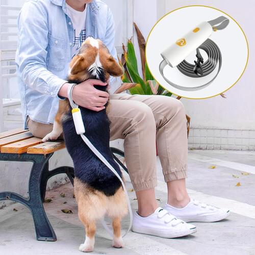 Pet Dog Leash Reflective Design Night Running Walking Lead Traction Rope Belt Cat Puppy Safety Leashs Accessories Dogs Supplies