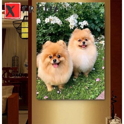 5D square round drill DIY Diamond Embroidery Hiromi dog Diamond Painting Cross Stitch Mosaic Full Square Rhinestones Home Decor