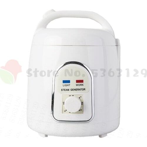 Generator For Sauna Steam Generator Fumigation Machine Home Steamer Therapy Suitable For Casks Kitchen Heating 110V / 220V
