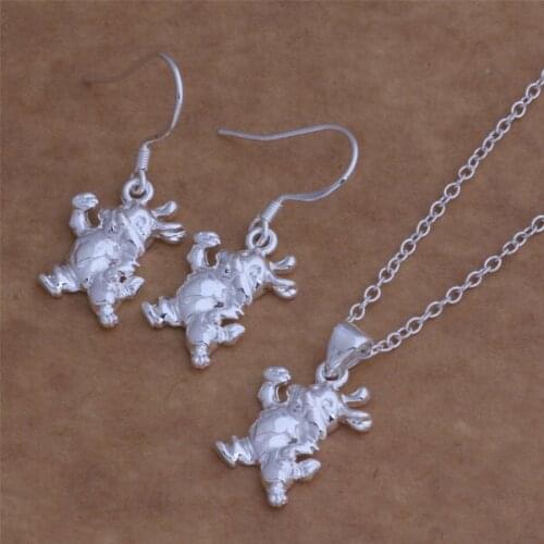 Wholesale High quality silver plated Fashion jewelry Necklace earrings WT-020