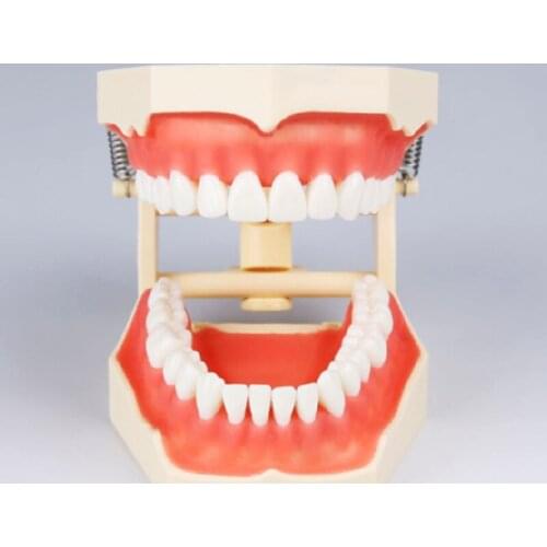 M8014 Standard Tooth Model with 32 Screw-in Teeth & M8025 Replacement Teeth 32*1 Nissin 200 Compatible