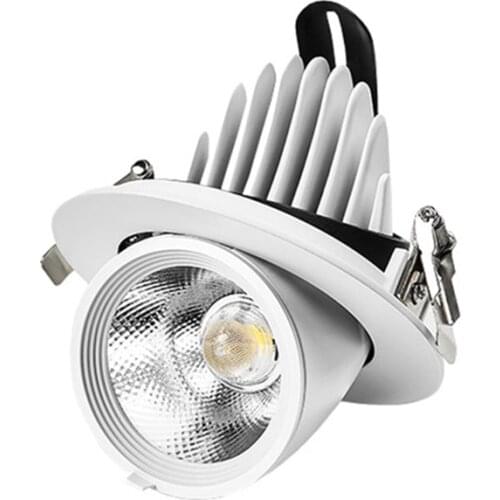 Led Elephant Trunk lamp 12W 20W 30W 40W Ceiling Spot Light Recessed COB Downlight For Restaurant Coffee Shop Hotel
