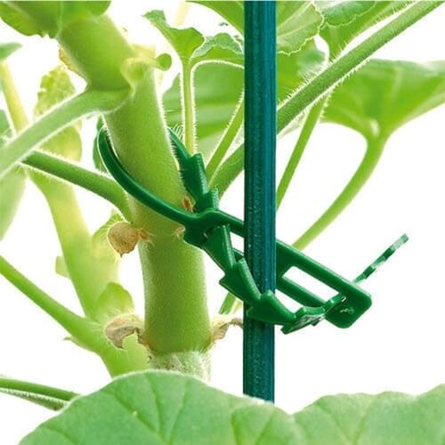 100pcs Adjustable Reusable Climbing Support Garden Cable Ties Vegetable Grafting Clips Plant Holder