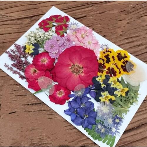 120pcs Mixed Pressed Dried Leaves Flower Plant Herbarium For Bookmark Prop Jewelry Postcard Invitation Card Phone Case DIY