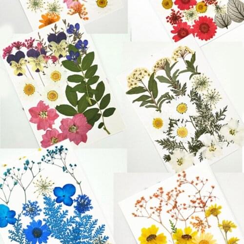 1 Pack Real Dried Flower Dry Plants For DIY Candle Epoxy Resin Pendant Necklace Jewelry Making Craft Nail Art Decoration Hot