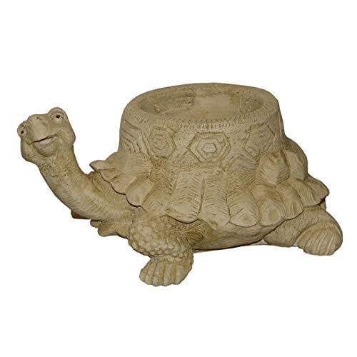 Bonfante planter turtle Tuff