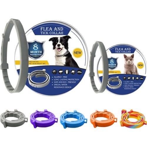 Dog Collar 8 Month Anti Flea Tick Collar For Dog Cat Collar Adjustable Pet Mosquitoes Repellent Collar Insect Mosquitoes Coleira