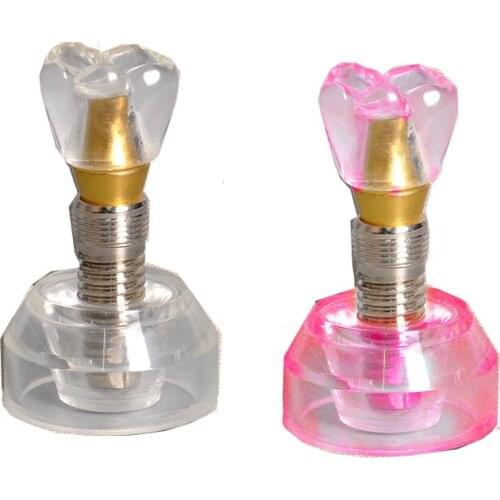 Big Promotion Dental Model M2020 Dental Implant Practice Model Detachable Implant Model for Oral Teaching and Training
