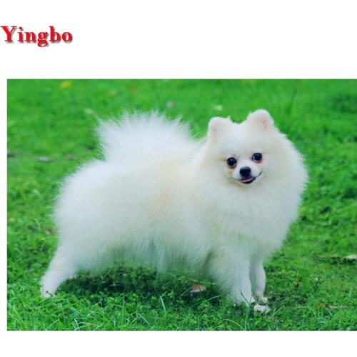 5d animal diamond painting Puppies Pomeranian diamond embroidery Cross Stitch diamond mosaic full Square/round drill Home Decor